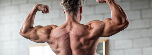 Four Ways to Maximize your Back Potential - Jed North Canada